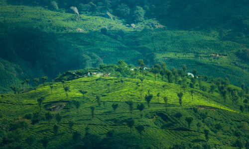 sreehari-devadas-rwO-rWHNwds-unsplash